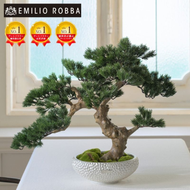 アートフラワー エミリオ・ロバ　盆栽　TUTTA30500