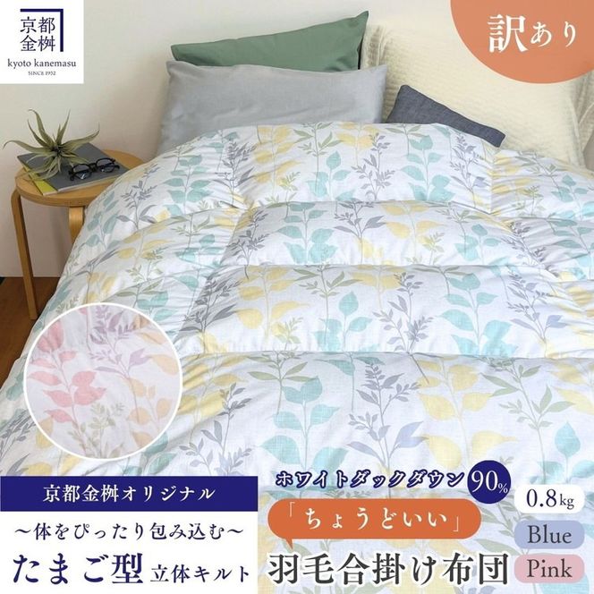 ys{Tszsy󂠂zHѕzc | VO zCg_bN_E90 傤ǂ y 0.8kg DP360 { V 󂠂 { sTY |zc |zc | HтӂƂ