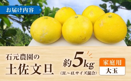 【先行予約】石元農園の土佐文旦 家庭用 大玉 約5キロ ＜2027年2月～発送＞ /  5kg 3Lサイズ 4Lサイズ 文旦 ぶんたん 柑橘 かんきつ みかん フルーツ デザート 果物 高知 【石元農園】 [BQBH005]