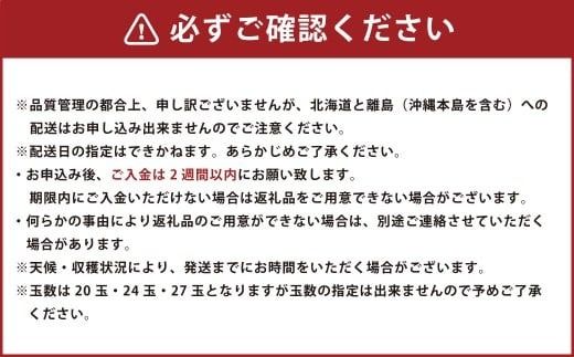 博多甘うぃ （キウイフルーツ） 約3.6kg 【2025年11月上旬～11月下旬発送予定】 キウイ 果物 フルーツ 九州 福岡県 香春町 冷蔵