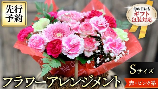 【 母の日 】 フラワー アレンジメント S 赤 ・ ピンク 系 ギフト プレゼント 花 お祝い 贈答 記念日 [CT079ci01]