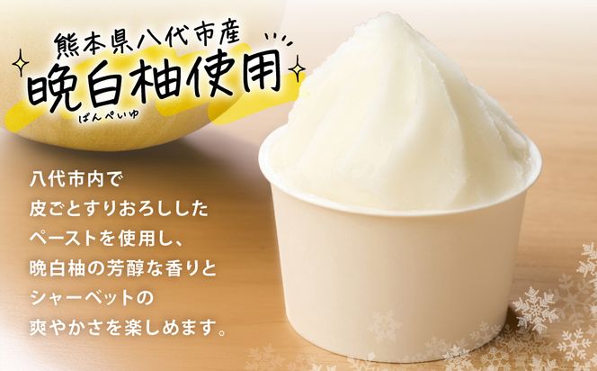 【先行予約】 くまモンのシャーベット 世界一大きな柑橘(ザボン類) 熊本県産 晩白柚 使用 アイス 氷菓子 果汁 果物 熊本 八代 国産 スイーツ くまモン 【2026年1月より順次発送】