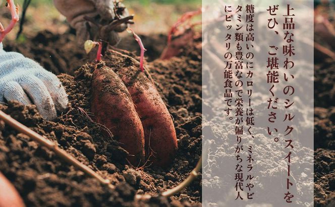 【先行予約】訳アリ！しっとり食感！シルクスイート　2kg 464686_YF003