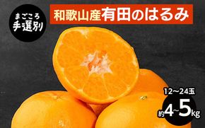 【先行予約】【まごころ手選別】和歌山県産 はるみ 約4～5kg（12～24玉）秀品 S～4Lサイズ混合 柑橘