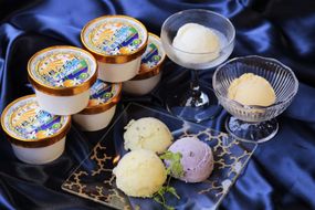 秋澤園謹製☆ジェラート☆箱根の冷涼な風と湘南の風が創り出した、果実６０％以上の贅沢なオトナのデザート。【ジェラート 秋澤園 オトナのデザート 清見オレンジ 湘南ゴールド キウイフルーツ ブルーベリー レモン 神奈川県 小田原市 】 142069_BP007