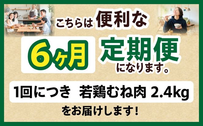 宮崎県産 若鶏切身 むね肉 2.4kg（300g×8袋）【6か月定期便】