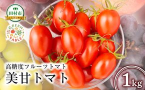 美甘トマト フルーツトマト 1kg 2026年7月発送 トマト とまと 新鮮 採れたて フレッシュ 野菜 農家直送 1キロ 人気 おすすめ ギフト 贈答 プレゼント 福島県 田村市 田村 GREEN for TABLE