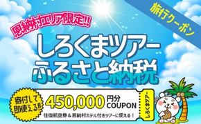 【恩納村】しろくまツアーで利用可能なWEB旅行クーポン（450,000円分）