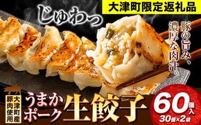 餃子 うまかポーク生餃子 60個 タレ付き 大津町限定返礼品 冷凍餃子 ギョウザ《30日以内に出荷予定(土日祝除く)》大津町産豚肉使用 九州産キャベツ使用（大津町産含む）皮モチモチ 肉汁溢れる ぎょうざ （30個×2袋）---oz_fumkgz_30d_25_7500_60p---