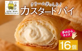 北海道 カスタードパイ 4個入り×4袋 計16個 カスタードクリーム カスタード パイ 洋菓子 お菓子 デザート おやつ 甘さ控えめ 冷凍 お菓子のふじい ニセコ 送料無料 北海道 倶知安町 スイーツ 北海道産 