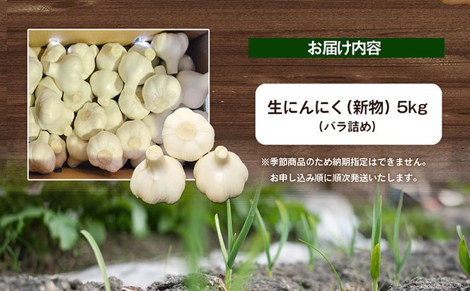 生にんにく（新物）5kg 野菜 根菜 