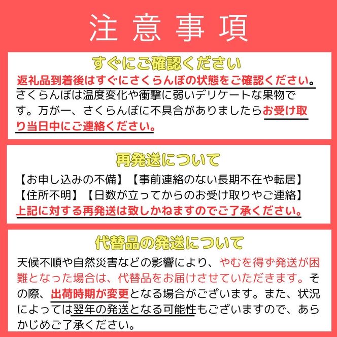 【2027年産 先行予約】＜北海道余市産＞さくらんぼ「佐藤錦」（M～2Lサイズバラ詰め）400g×2パック さくらんぼ 佐藤錦 サクランボ 人気さくらんぼ 佐藤錦 さくらんぼ_Y103-0070