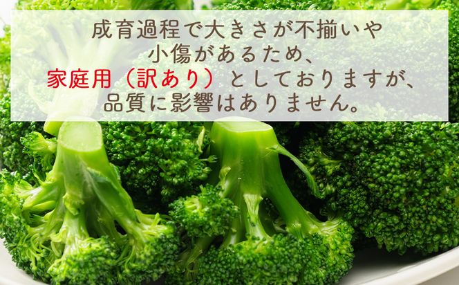 【2025年11月末以降発送】ブロッコリー １ｋｇ 家庭用 yr-0086