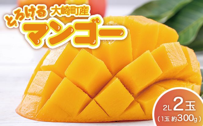 【JA大崎選果場厳選】「大崎産マンゴー2026」 おおよそ300g×2玉 464686_X018
