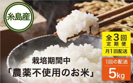 【全3回(月1回)定期便】 栽培期間中 農薬不使用のお米 ヒノヒカリ 5kg 糸島市 シーブ [AHC041] お米  5kg 送料無料 ギフト 5キロ 無農薬 栽培期間中 米 定期便