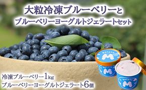 大粒冷凍ブルーベリー1kgと手作りブルーベリーヨーグルトジェラート6個セット ※離島への配送不可