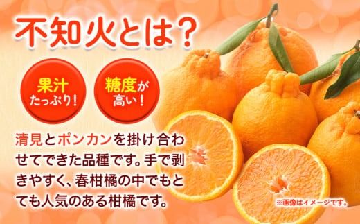 【先行予約】訳あり 不知火 ( デコポンと同品種 ) しらぬい 約10kg (M～5Lサイズ) どの坂果樹園《2026年2月上旬-4月上旬頃出荷》 和歌山県 日高町 しらぬい でこぽん 旬 果物 フルーツ 柑橘 訳あり不知火 訳ありデコポン 訳ありしらぬい 送料無料---wsh_dsk21_2j4j_24_15000_10kg---