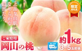 【ふるプレ限定品】桃 岡山の桃 約1kg(3~5玉前後)《2026年6月下旬-9月上旬頃出荷》 ご家庭用 訳あり 白桃 岡山 はくとう スイーツ フルーツ 果物 デザート 旬 モモ もも 先行予約 送料無料 果物 岡山県 笠岡市 清水白桃 白鳳 白麗 クール便---kasaoka_zsy_149_1---