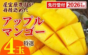 【先行受付】【2026年発送】屋宜原農園が丹精込めた「アップルマンゴー」特選４玉 - 先行予約 沖縄県産 産地直送 南国フルーツ 旬の味覚 旬のフルーツ 贈り物 ギフト 沖縄県 八重瀬町