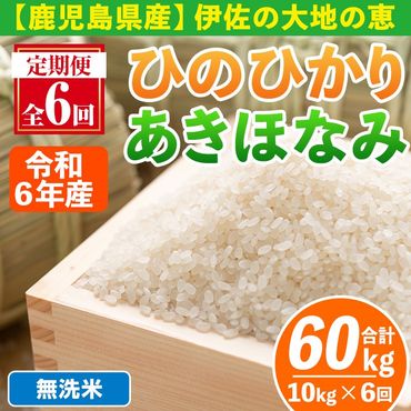 isa518-B [定期便6回] [無洗米]令和6年産 鹿児島県伊佐南浦産 ひのひかり5kg・あきほなみ5kg (合計60kg・計10kg×6ヵ月)[Farm-K]