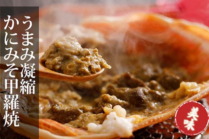 【訳あり！指落ち松葉がに】山陰沖ゆで松葉がに 800ｇ～900ｇ 大サイズ（1月～3月発送）／北畿水産　HK00253