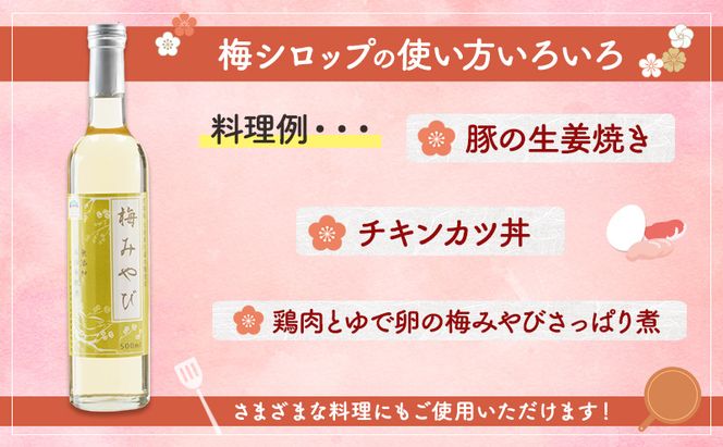 大河原町観光物産協会 特産品Aセット ドレッシング 調味料 ポン酢 柚子 梅 シロップ 果実 グッズ 詰め合わせ 町のおすすめ返礼品 