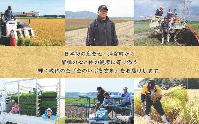 【宮城ブランド米】金のいぶき 玄米 5kg / 玄米 米 お米 ご飯 ブランド米 健康 栄養豊富 産地直送 【aubless015】