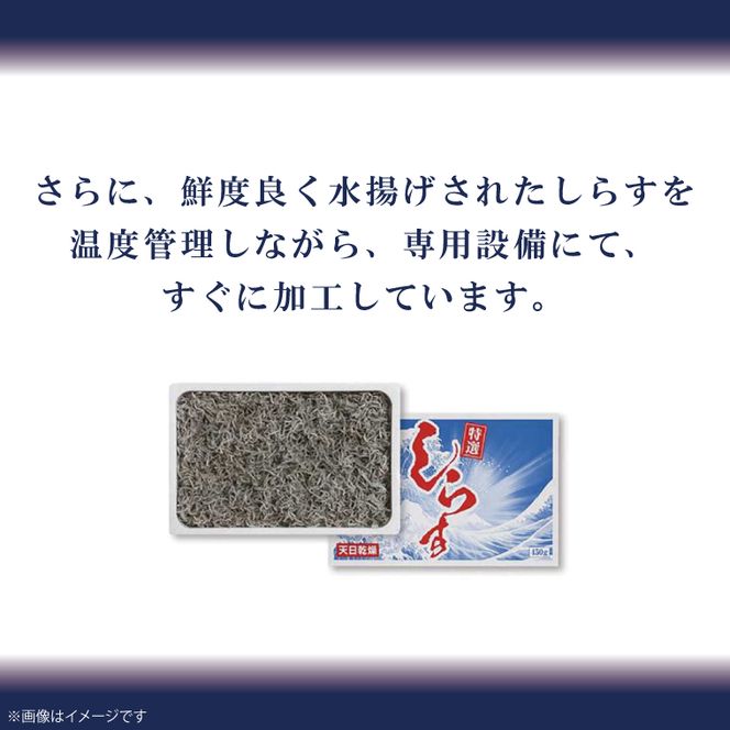 しらす干し 天日乾燥【シラス しらす 海鮮 魚 冷凍 名物 グルメ 食品 国産 厳選 茨城県 北茨城市】(AJ203)
