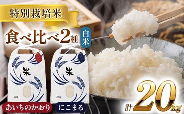 令和6年産　愛知県産　にこまる・あいちのかおり　白米　各10kg　特別栽培米　お米　ご飯　愛西市／戸典オペレーター[AECT010]