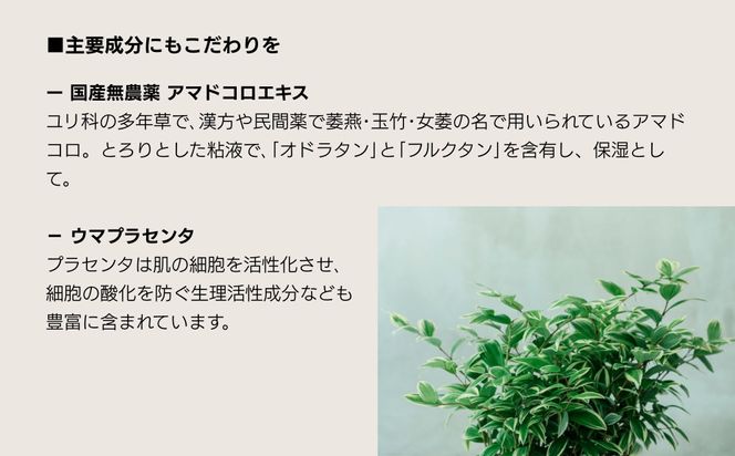 【sunao】京の拘りスキンケア リバースジェル 75g｜京都 自然素材 オールインワン スキンケア用品 人気 ［ うるおい補給 高濃度美容液 人気 おすすめ 保湿 洗顔後のお手入れを全てこなす お取り寄せ 通販 送料無料 ふるさと納税 ］ 261009_B-XP02