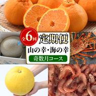 ＜定期便・全6回(奇数月)＞阿久根市の山の幸・海の幸(ぼんたん・不知火・タカエビ・メロン・伊勢海老など)国産 柑橘 みかん フルーツ 果物 魚介 頒布会【松永青果】akn053-37