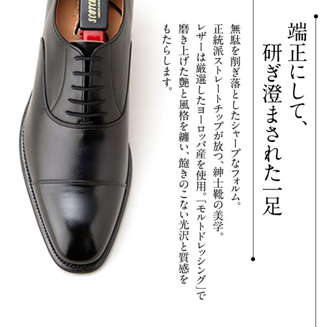 スコッチグレイン 紳士靴 オデッサ NO.916 靴 ビジネスシューズ フォーマル 東京 墨田区