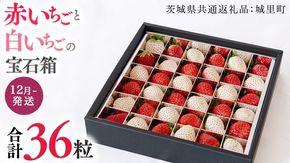 赤いちご と 白いちごの宝石箱 36粒 【12月から発送開始】（茨城県共通返礼品 [いちご]：城里町産）いちご 苺 イチゴ 白いちご 白イチゴ 宝石箱 [BI420-NT]