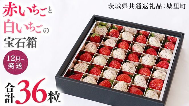 y錧΂݂炢szԂ  ̕Δ 36 y12甭Jnzi錧ʕԗi []F闢Yj  C`S  C`S Δ [BI420-NT]