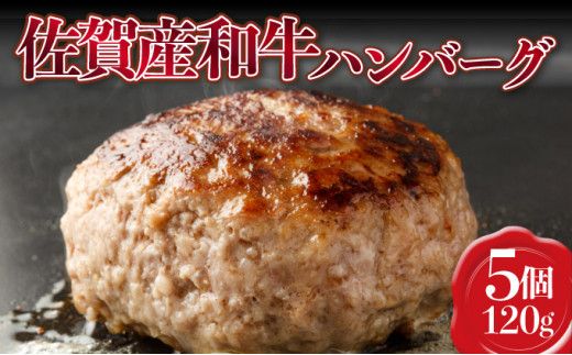 【佐賀産和牛】ハンバーグ 120g×5個  B-1008