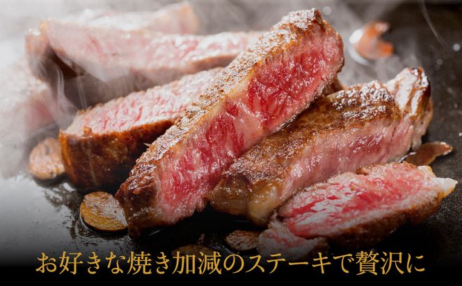 神戸牛 ロースステーキ 600g【200g×3枚】 (TYST5)  牛肉 ステーキ ロース 霜降り ステーキ肉 但馬牛 黒毛和牛 和牛 国産牛 赤身 ステーキ 牛 肉 焼肉 太田牧場 太田牛 神戸ビーフ TYST5【但馬牛太田家】【好評につき1月以降順次発送】
