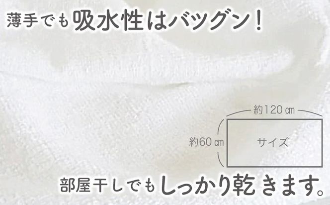 knt0046 泉州タオル「家事がラクになるバスタオル」セット（パステル系）