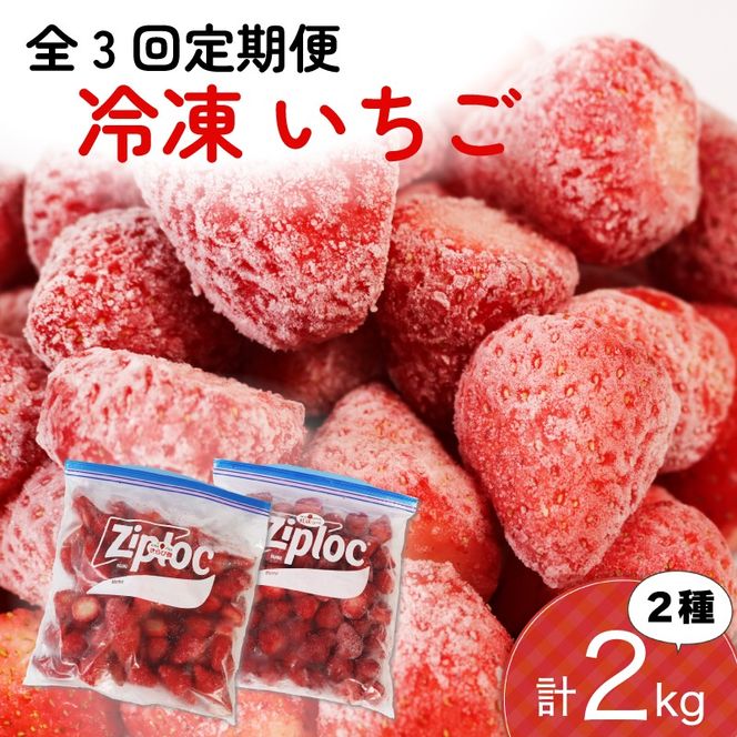 【全3回定期便】 冷凍 いちご 計2kg セット 紅ほっぺ 章姫 きらぴ香 かおり野 フルーツ 果物 イチゴ フローズン スムージー ヨーグルト 苺 静岡県 藤枝市 ふるさと人気