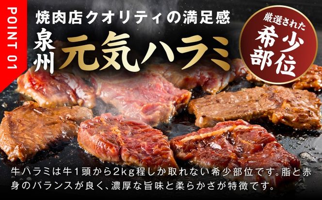 099Z620 【分けて届く定期便】牛ハラミ肉 1kg【泉州元気ハラミ 秘伝の赤タレ 牛肉 はらみ 小分け 焼肉 訳あり ワケアリ わけあり サイズ不揃い 全2回】
