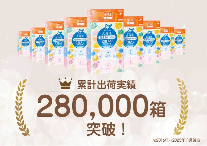 【2回お届け 計100箱】エリエール 北海道 ティシュー なまらたっぷり 300組5箱 10パック 大容量 まとめ買い 防災 常備品 備蓄品 消耗品 日用品 生活必需品 送料無料 赤平市 ストック 