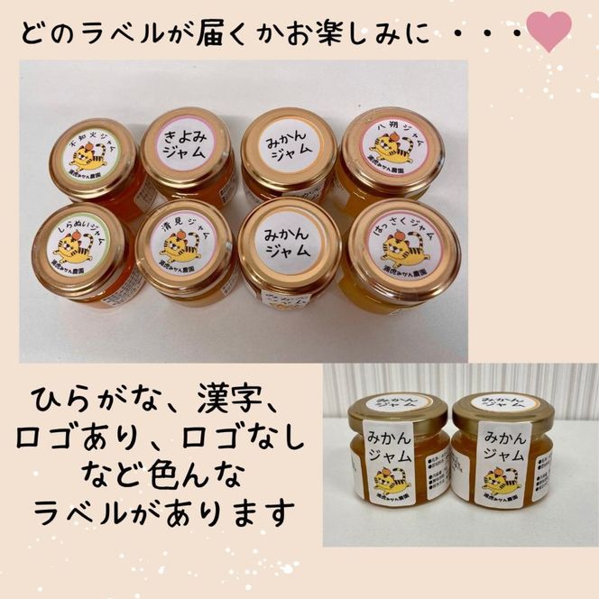 【2026年3月以降順次発送】数量限定！店主にお任せ 無添加 柑橘ジャム140g×3個  DB028