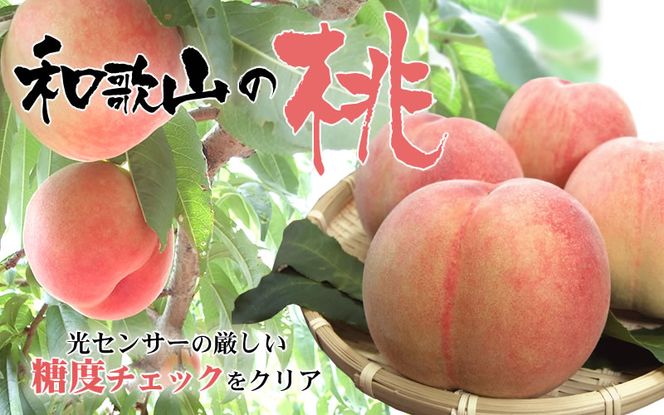 和歌山の桃 秀品 [約3.8～4kg] (サイズ・品種おまかせ) ※2026年6月中旬～2026年8月中旬頃に順次発送予定　紀伊国屋文左衛門本舗 和歌山 もも モモ 桃 果物 フルーツ 人気 産地直送 和歌山県 お取り寄せ【kztb800B】