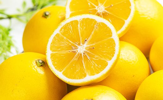 【2026年出荷分】【2回定期便】土佐の高知のくだもの畑 ハウス小夏 5kg(家庭用) 高知 土佐 こなつ 果物 フルーツ 土佐の高知のくだもの畑 【先行予約】 - 家庭用 訳あり 小夏 ハウス ミカン みかん 蜜柑 柑橘 果物 フルーツ こなつ のし対応可 熨斗 国産 Wkd-0034