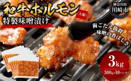 ホルモン 大腸 味噌漬け 3kg ( 300g × 10 ) 歯ごたえ抜群 小分け 使いやすい 味付き 調理便利 焼肉 野菜炒め ホルモン炒め 訳あり 不揃い 和牛 冷凍 配送時期が選べる 個包装 冷凍保存 アウトドア キャンプ おすすめ 人気