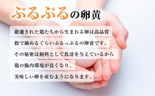 【定期便3ヶ月】匠の卵 20個(割れ玉補償２個）7％の卵　たまご　卵　玉子　鶏卵　生卵　プレミアム　優秀賞　愛知県　美浜町　国産　産直　卵黄　卵かけご飯