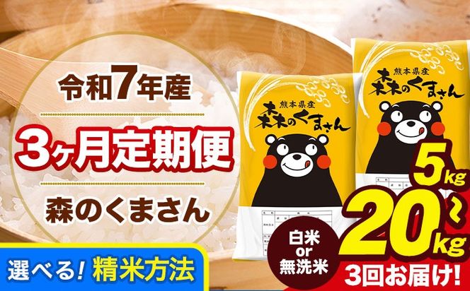 【3ヶ月定期便】令和7年産 無洗米 も選べる 森のくまさん 5kg 10kg 20kg 《お申込み翌月から出荷》 熊本県産 無洗米 白米 精米 ひの 米 こめ ふるさとのうぜい コメ 熊本米 定期便---mk7tei_33000_5kg_mo3_gkt_h---
