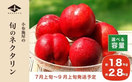 旬のネクタリン 約1.8kg 約2.8kg 選べる内容量 ［小布施屋］ 果物 フルーツ 桃 もも 長野県産 小布施 冷蔵便 クール便 産地直送 数量限定 送料無料 令和7年産 【2025年7月上旬～9月上旬発送】