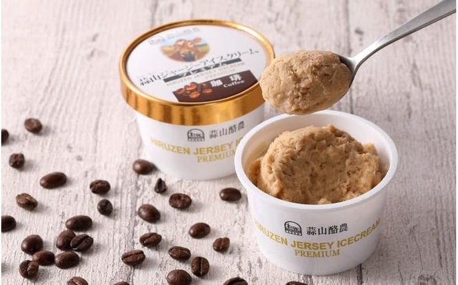 蒜山ジャージープレミアムアイスクリーム 12個セット / 岡山 真庭 極上スイーツ プレゼント ギフト ジャージー 牛乳 バニラ ミルク チョコ コーヒー 抹茶 アイス 贈答 食べ比べ 【hiru011-02】