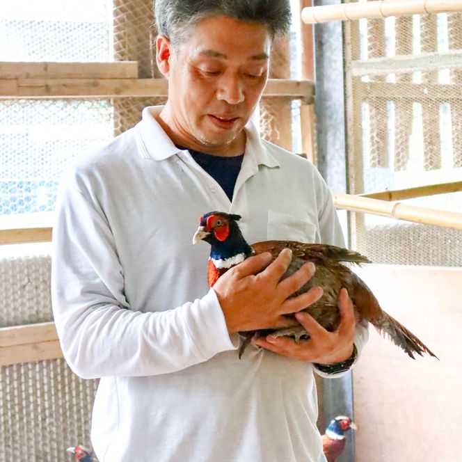 ★お歳暮【きじ肉】土佐・本川 手箱"喜事"しお鍋セット（３～４人前）