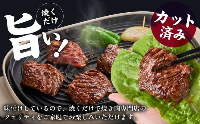 G4017 ガツめし牛ハラミ 600g 追いダレ漬け【焼肉 はらみ ハラミ 牛肉 訳あり サイズ不揃い】